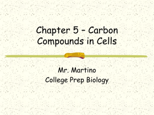 Chapter 3 – Carbon Compounds in Cells