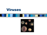 Viruses