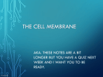 Membrane Structure