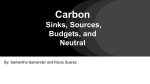 Carbon Sinks, Sources, Budgets, and Neutral