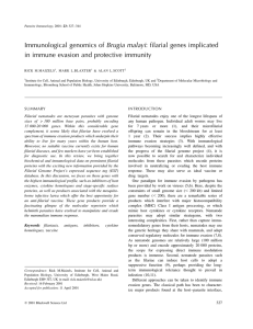 Immunological genomics of Brugia malayi: filarial genes implicated