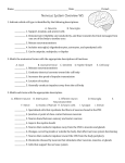 Nervous System Overview WS