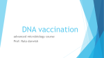 DNA vaccination