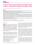 Caregiver burden among Iranian heart failure family caregivers: A