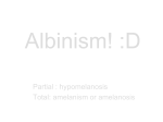 Albinism! - trefzclasses