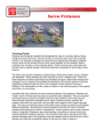 Serine Proteases - MSOE Center for BioMolecular Modeling