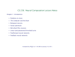 CS 256: Neural Computation Lecture Notes