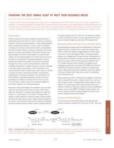 Choosing the Best Kinase Assay to Meet Your Research Needs