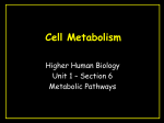 Cell Metabolism