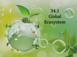 34.1 The Biosphere is the Global Ecosystem