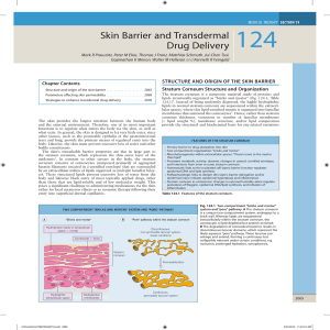 Skin Barrier and Transdermal Drug Delivery