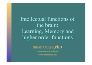 Intellectual Functions of the Brain