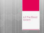 6.2 The Blood System