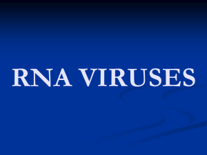 Viruses of Humans