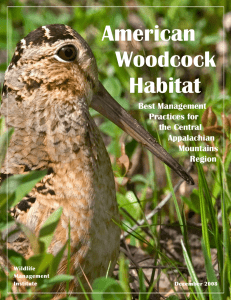 American Woodcock Habitat