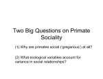 (8) Primates Why social