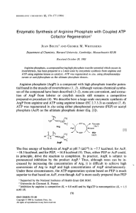 Enzymatic Synthesis of Arginine Phosphate with Coupled ATP