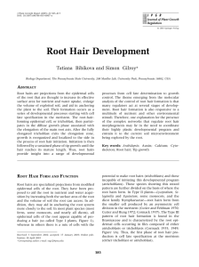 Root Hair Development | SpringerLink