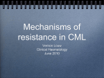 Mechanisms of resistance in CML