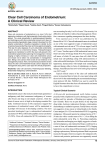 Clear Cell Carcinoma of Endometrium: A Clinical