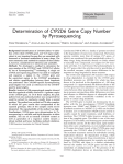 Determination of CYP2D6 Gene Copy Number