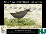 2016 New Jersey Black Rail Survey