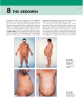 8 the abdomen