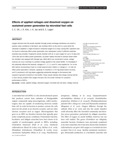 Effects of applied voltages and dissolved oxygen on sustained