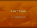 Ch. 22 Plant Diversity ppt