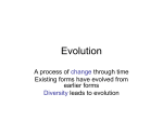 Evolution1