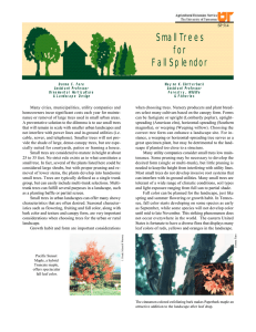 Small Trees for Fall Splendor - University of Tennessee Extension