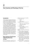 Basic Anatomy and Physiology of the Eye