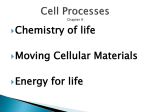 Cell Processes chpt 9