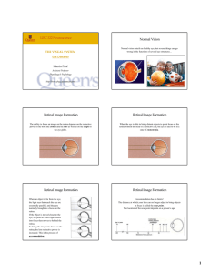 LISC 322 Neuroscience Normal Vision Retinal Image Formation