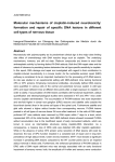 Abstract Dissertation Makhalova