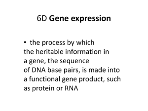 Gene expression