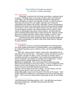 Plant Phenology