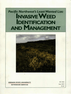 invasive weed identification and management