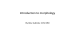 Introduction-To-Morphology