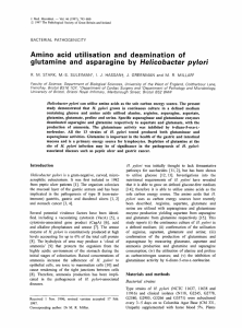 Amino acid utilisation and deamination of glutamine and asparagine