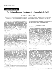 and Functions of y-Aminobutyric Acid