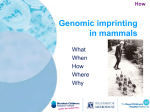 Genomic imprinting in mammals