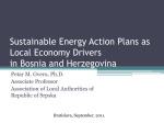 SUSTAINABLE ENERGY ACTION PLANS AS ECONOMY