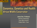 Animal Conservation Genomics: African Style