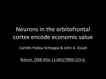 Neurons in the orbitofrontal cortex encode economic value File