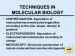 kaedah-kaedah dalam biologi molekul