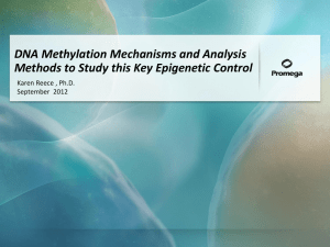 DNA Methylation Mechanisms and Analysis Methods to