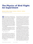 The Physics of Bird Flight: An Experiment