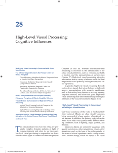 High-Level Visual Processing: Cognitive Influences