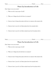 Warm Up: Introduction to Cells Warm Up: Introduction to Cells